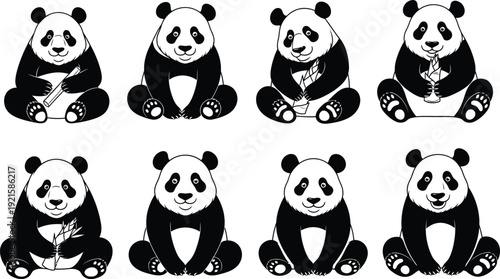 Vector illustration of multiple panda bears isolated on transparent background