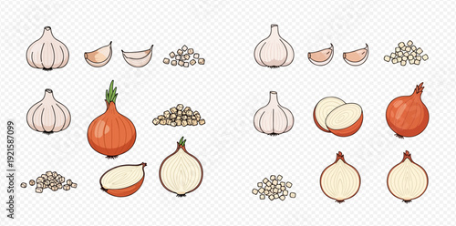 Illustrated collection of garlic and onion vegetables in whole, sliced, and minced forms.