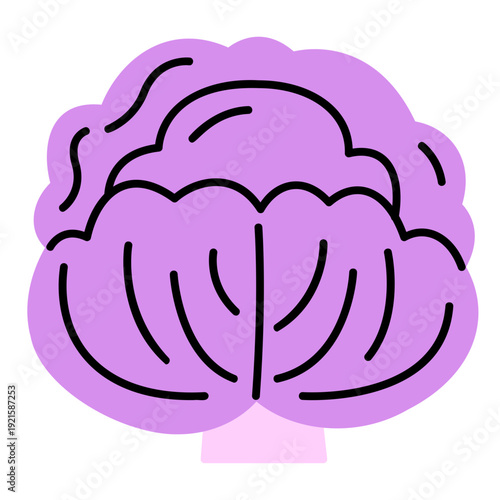 cabbage