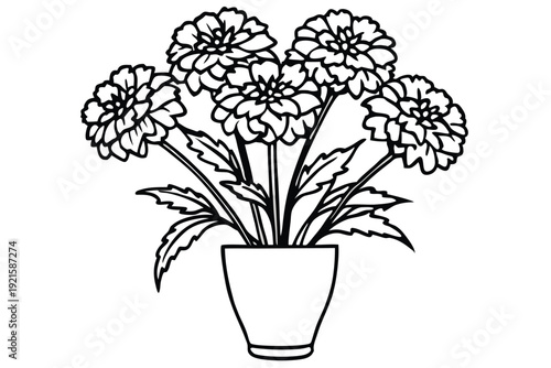 Fotografía marigold vase silhouette line art vector illustration