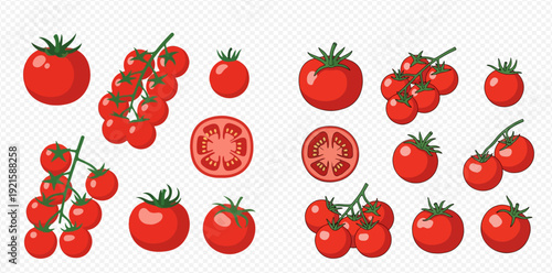 Collection of fresh red tomatoes, whole, on the vine, and sliced, in a flat vector illustration style.