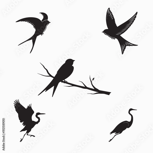 A comprehensive collection of wild bird silhouettes featuring flying animals like doves, pigeons, and seagulls in a black vector illustration set designed for nature and wildlife flight icons