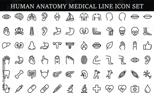 Human anatomy medical line icon set, body parts, organs, bones, muscles, healthcare symbols, laboratory equipment, vector outline illustration collection