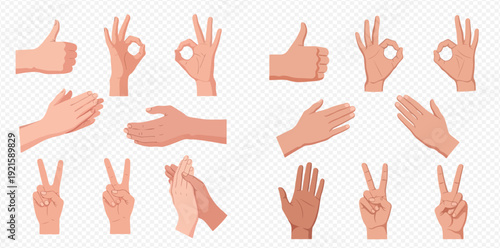 A diverse collection of cartoon human hand gestures including thumbs up, okay, peace sign, and clapping on a transparent background.
