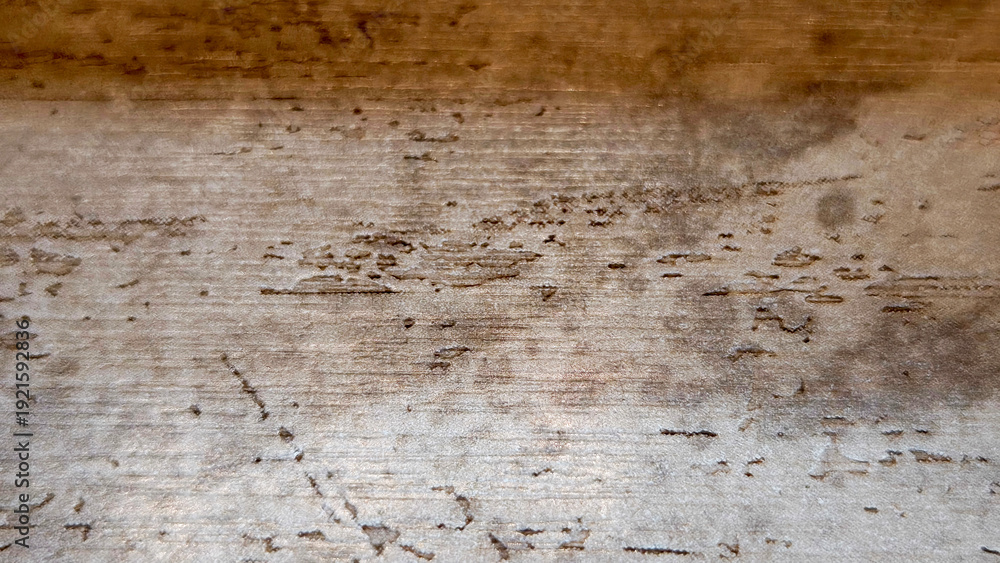 Fototapeta premium Old Rustic Wood Plank Texture Background