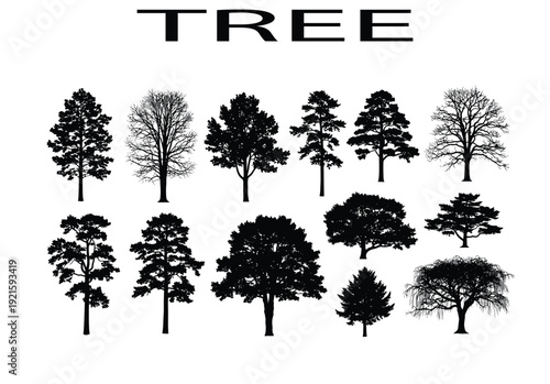 Digital network of interconnected nodes and lines, representing global connectivity, data transfer, and the internet of things.