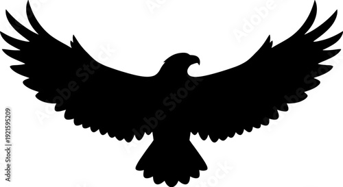 A powerful black silhouette of a large bird of prey, possibly an eagle or hawk, is shown with its massive wings spread wide open.