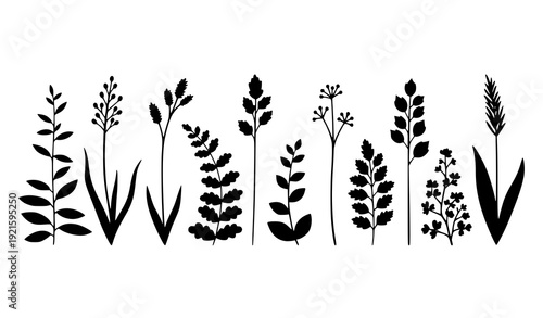 Monochrome Floral Blossom Collection Black and White Vector Illustration