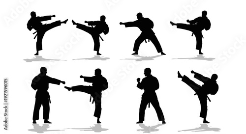 Martial Arts Silhouettes in Various Fighting Stances.
