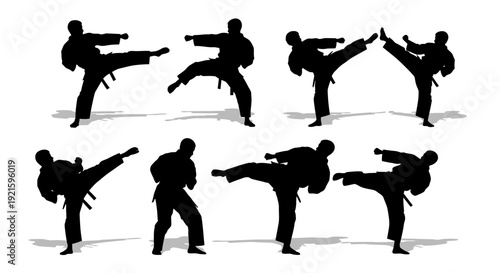 Martial Arts Silhouettes in Various Fighting Stances.