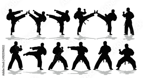 Silhouettes of martial artists performing various kicks and punches.