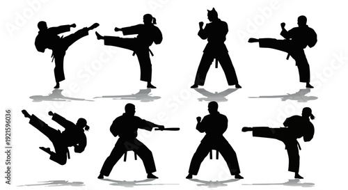 Martial Arts Silhouettes in Various Fighting Stances and Techniques.