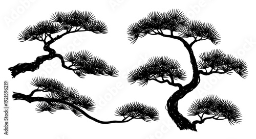 Black and white illustration of bonsai trees with twisted trunks and branches.