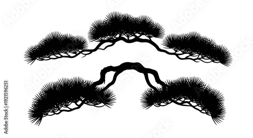 Black silhouette of a bonsai tree with curved branches and lush foliage.