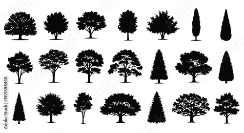 vector tree silhouettes collection. forest, park, garden, plant, nature icons set