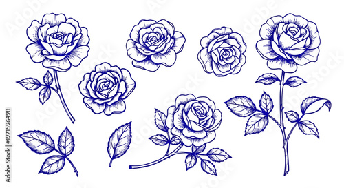 Collection of hand drawn blue rose illustrations with leaves.