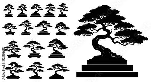Bonsai Tree Silhouettes on White Background.