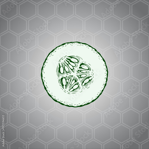 cucumber slices hand drawn illustration artwork