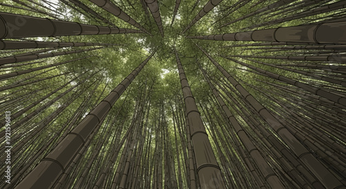 Bamboo forest with tall green stalks and sunlight filtering through.