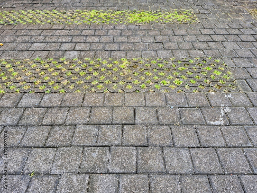 Fototapeta premium Concrete grass block pavement pattern with green plants, eco friendly outdoor parking surface