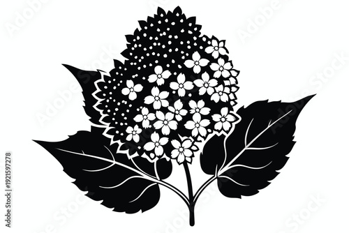 lilac silhouette line art vector illustration