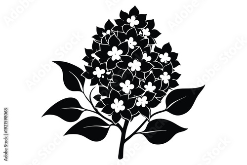 lilac silhouette line art vector illustration