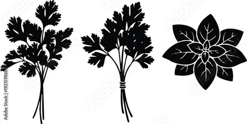 Beetroot Vegetable Vector Art - Organic Garden Beets with Leaves Woodcut Style