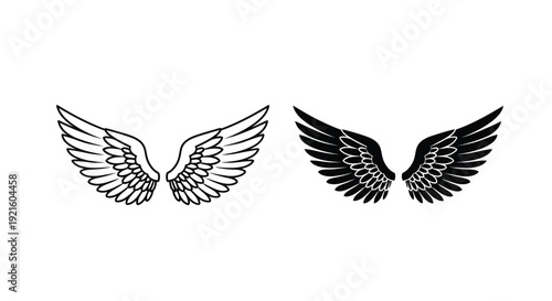 Two pairs of wings one light and one dark in striking silhouette