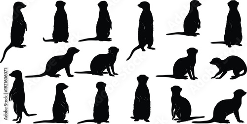 Black Silhouette Collection of Meerkat Character Poses Featuring Various Positions Including Standing Sentry Sitting and Walking for Wildlife Nature Education and Animation Graphic Design
