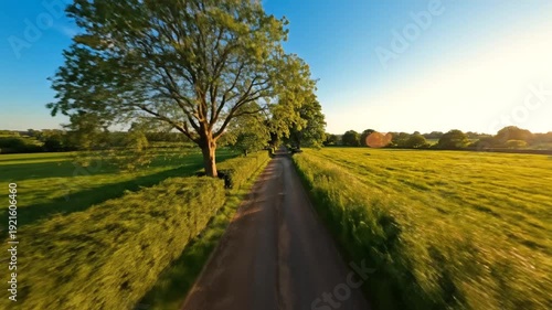 Rural country road winding through green fields at golden hour