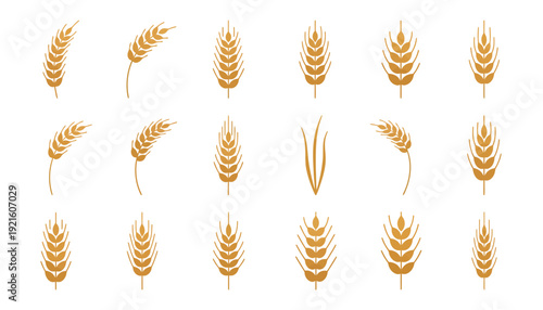 Wheat Ear Vector Icons Collection, Agricultural Clipart Set, Botanical Grain Vector Designs, Decorative Wheat Vector Elements, Farm Harvest Vector Graphics, Rustic Nature Vector Illustration Pack