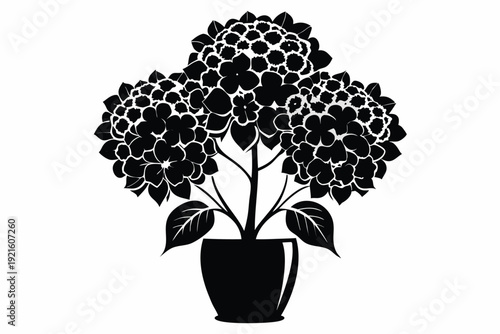 hibiscus vase silhouette line art vector illustration