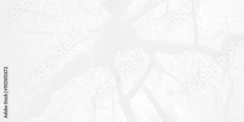 A textured white paper background featuring a grunge stone pattern and old grey marble surface details for a rough winter art design