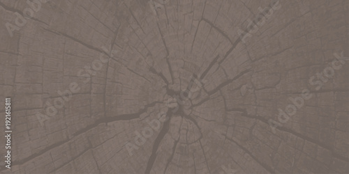 A macro close up of a spider on its natural web over a cracked brown leather material with a rough old timber wood texture and grunge stone pattern