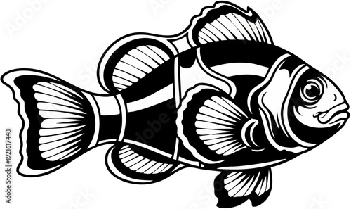 A black and white vector illustration of a clownfish, a popular tropical saltwater fish known for its vibrant orange and white stripes
