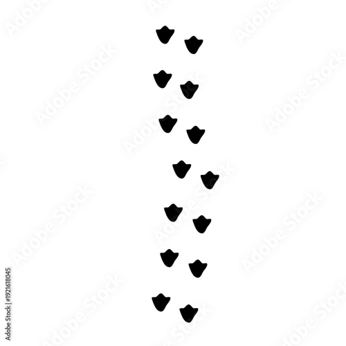 Animals foot print path tracks