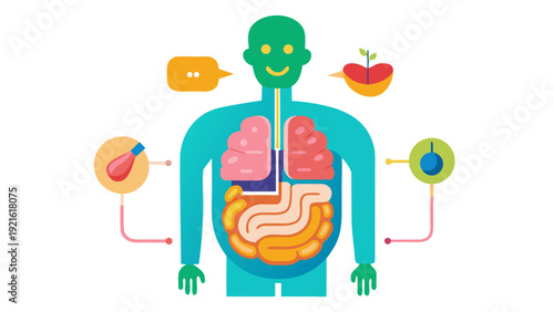 Human digestive system anatomy illustration with internal organs and healthy food icons in flat design style