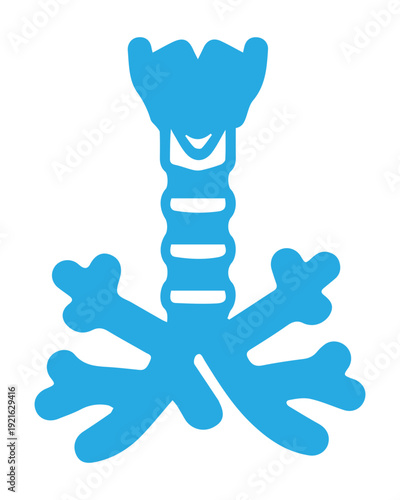 Trachea and Bronchi Icon