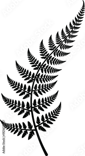 vector illustration of a leaf