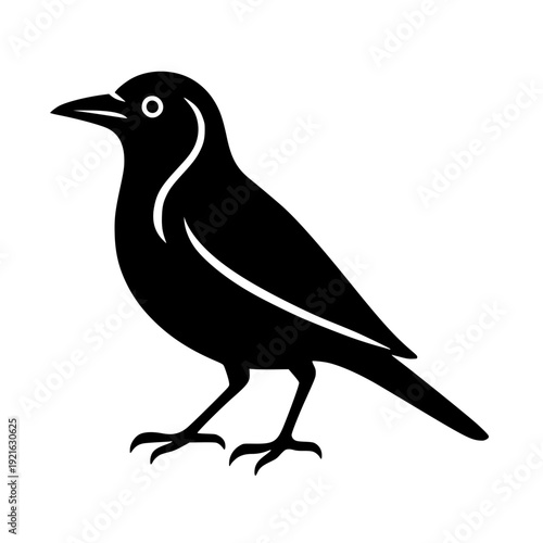 Minimalist illustration of a black bird with white accents