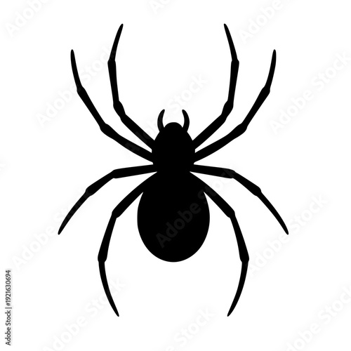 Minimalist Black Spider Silhouette on White Background