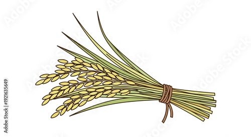A vibrant illustration of a freshly harvested bundle of golden rice stalks, symbolizing agricultural abundance and an essential global food source