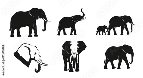 Collection of Elephant Silhouettes and Illustrations.