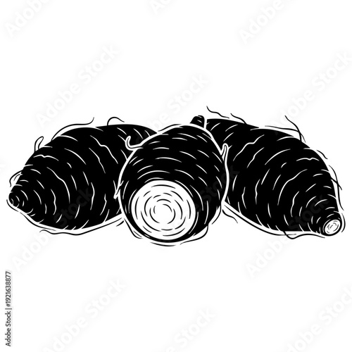 Bitter Melon Gourd Vector - Exotic Botanical Vegetable Silhouette Set