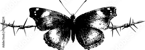 Butterfly and crown of thorns high contrast black and white design