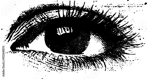 All seeing eye high contrast ink artwork for design and print