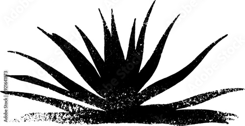 Minimalist aloe plant silhouette in high contrast black and white ink style for art and design