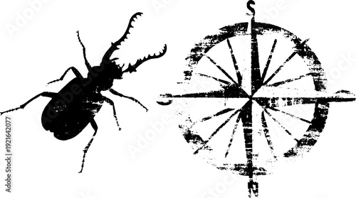 Beetle and compass high contrast ink silhouette for retro design
