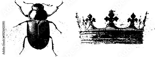 Intricate beetle and crown ink illustration in high contrast black and white