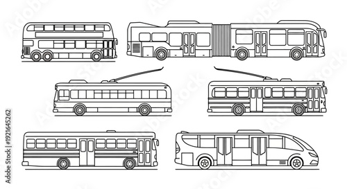 Collection of different types of buses in line art style.